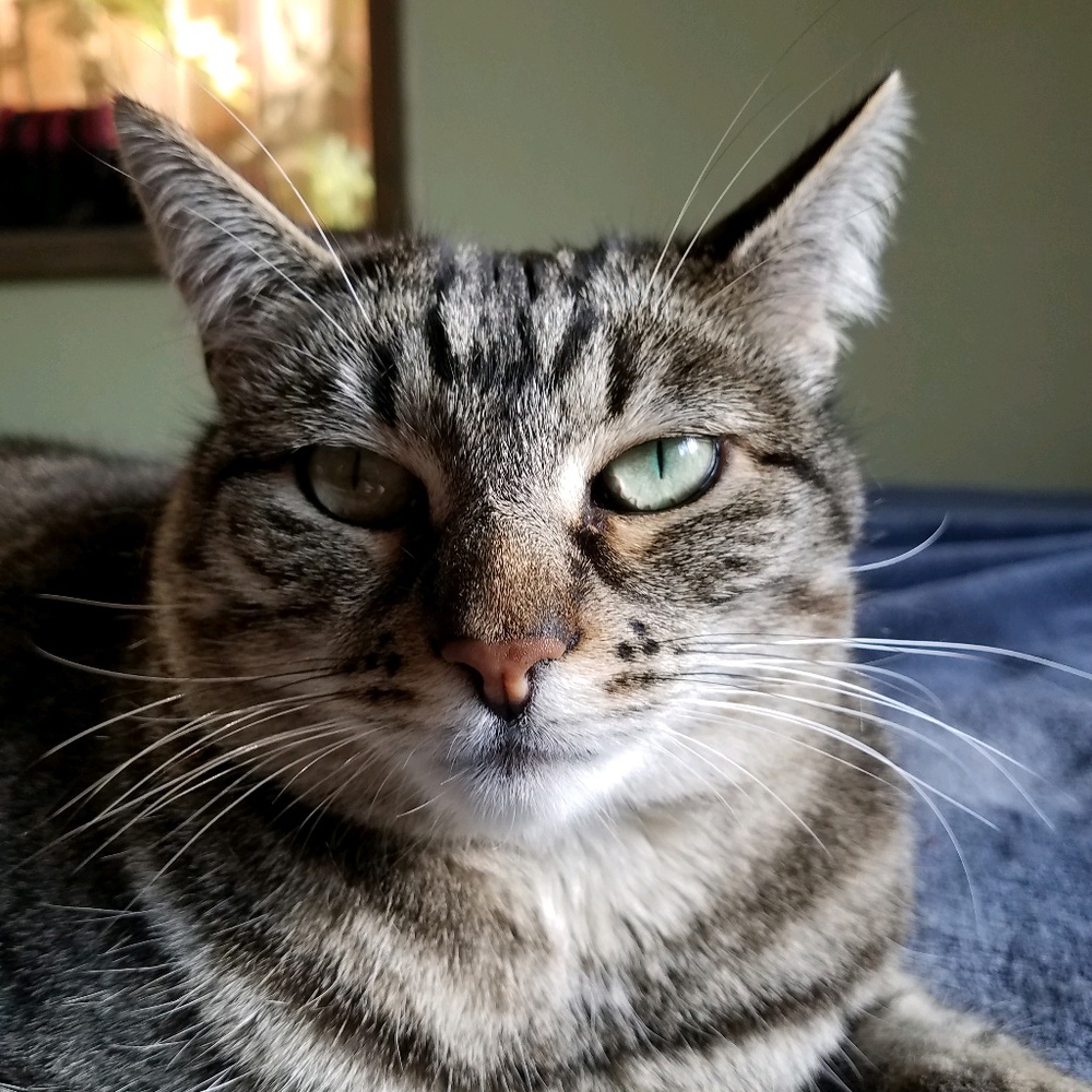 Meet your Posher, Jackie